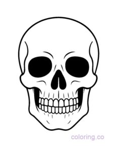 Bold Skull Coloring Page | Coloring.co