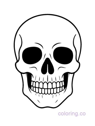 Bold Skull Coloring Page