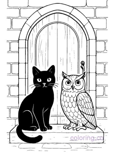 Cute Black Cat and Owl Coloring Page