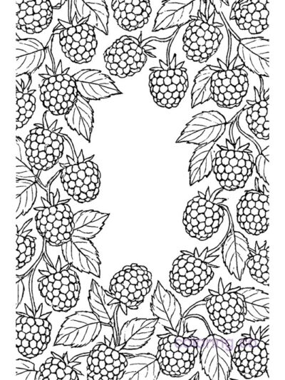 Blackberry Pattern Frame Coloring Page