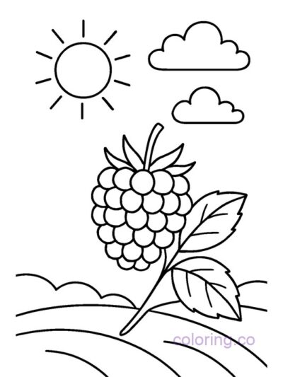 Blackberry and Sun Coloring Page