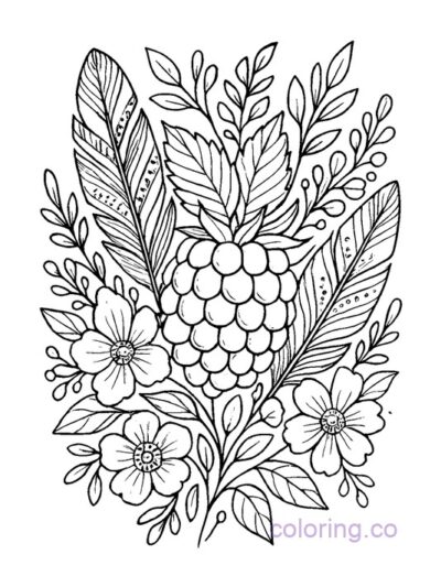 Boho Blackberry Line Art Coloring Page
