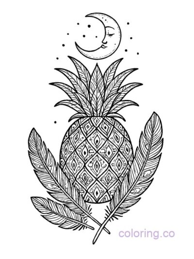 Boho Pineapple with Feathers and Moon