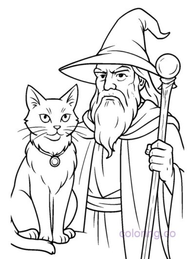 Charming Wizard and Cat Coloring Page
