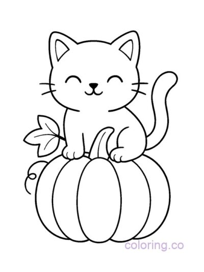 Cute Cat on a Pumpkin Coloring Page