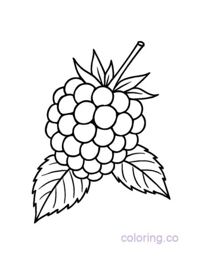 Cute Blackberry Coloring Page