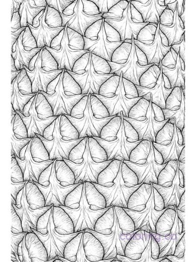 pineapple skin detailed free adult coloring page