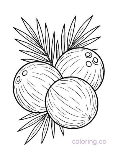 Fun Coconut Cluster Coloring Page for Kids