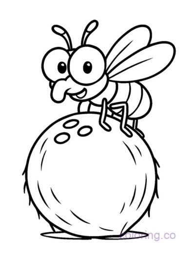 Adorable Coconut Fly Coloring Page for Kids