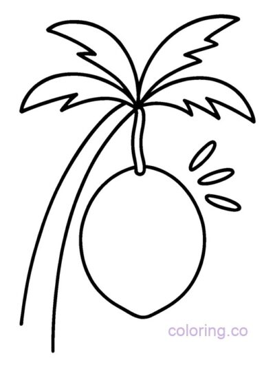 Coconut Hanging from Palm Tree Coloring Page for Kids