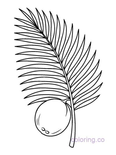 Cute Coconut Palm Coloring Page for Preschoolers