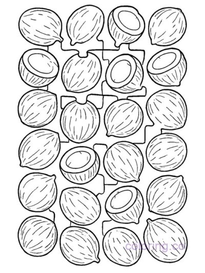 Coconut Puzzle Coloring Page for Kids