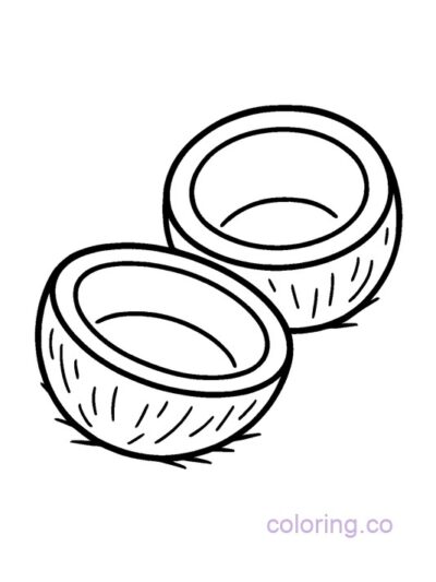 Coconut Shell Bowl Coloring Page for Preschoolers