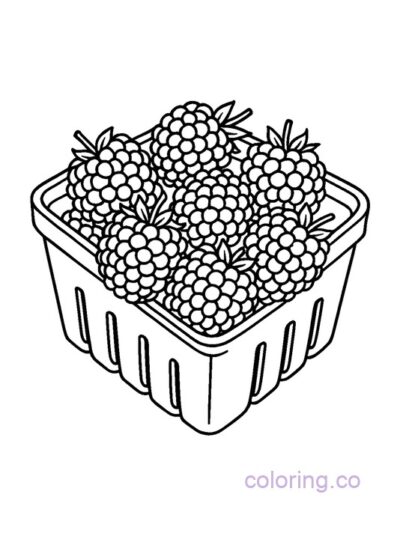 Fun Blackberry Coloring Page