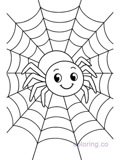 Cute Smiling Spider Coloring Page