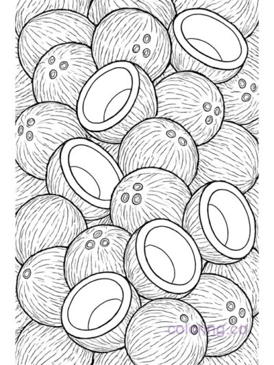 Intricate Coconut Coloring Page for Adults