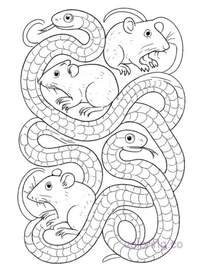Escher-Inspired Snake and Rat Coloring Illusion