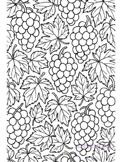 Grape Doodle Pattern Coloring Page