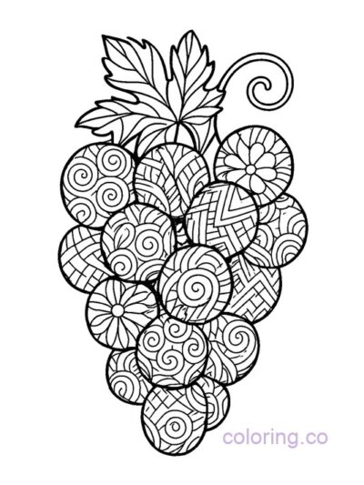 Intricate Grape Silhouette Coloring Page