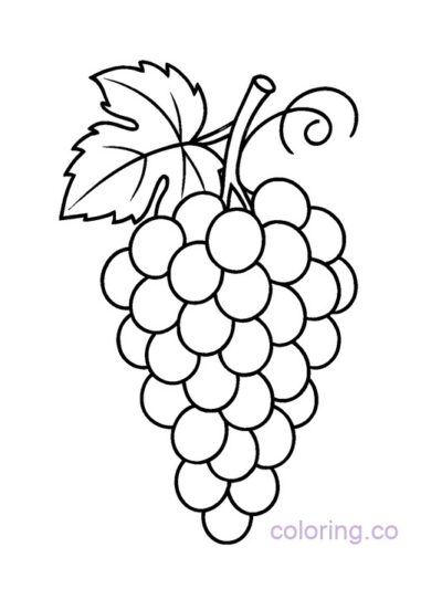 Cute Grape Coloring Page