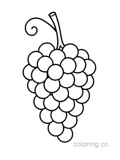 Fun Grape Coloring Page for Preschool