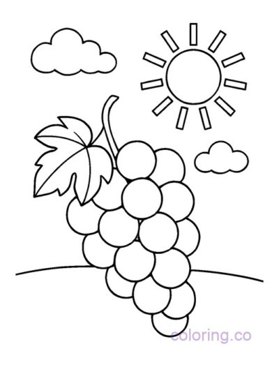 Grape and Sun Coloring Page for Preschool
