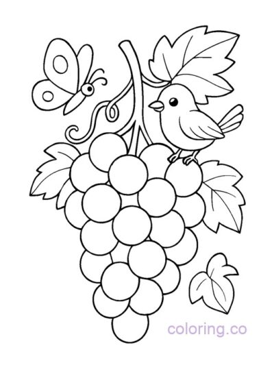 Grapes and Animal Friends Coloring Page