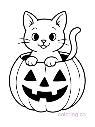 Cute Halloween Cat in Pumpkin Coloring Page