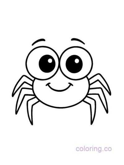 Adorable Spider Coloring Page