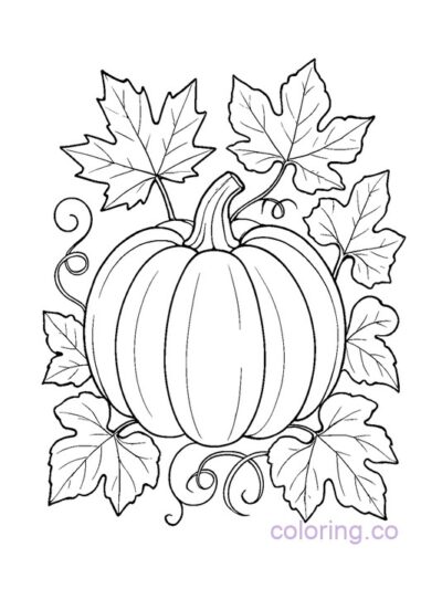 Harvest Bounty Pumpkin Coloring Page