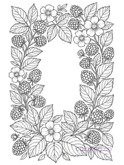 Intricate Floral Blackberry Frame Coloring Page