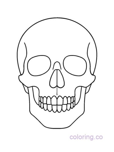 Minimalist Skull Line Art Coloring Page