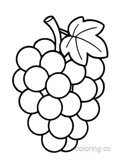 Fun Preschool Grapes Coloring Page