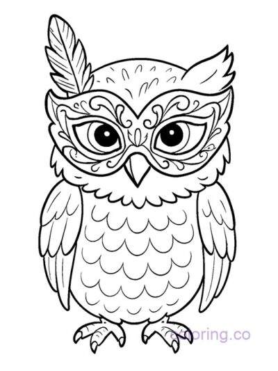 Fun Owl in Costume Mask Coloring Page