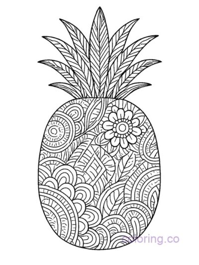 Intricate Pineapple Silhouette Coloring Page