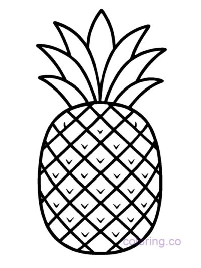 Pineapple With Bold Lines