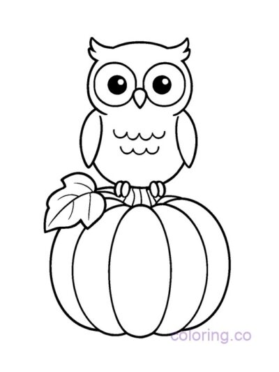 Cute Owl on Pumpkin Coloring Page