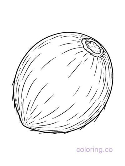 Realistic Coconut Coloring Page for Kids