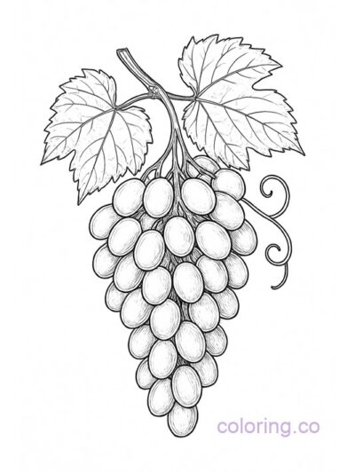 Realistic Grape Bunch Coloring Page