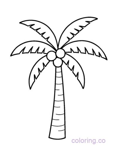 Simple Coconut Tree Coloring Page for Preschoolers