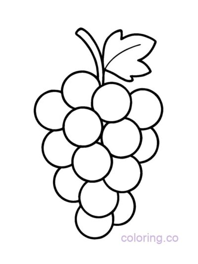Simple Grape Cluster Coloring Page
