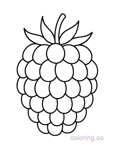 Simple Blackberry Coloring Page