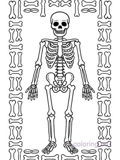 Fun Skeleton Coloring Page with Bone Border