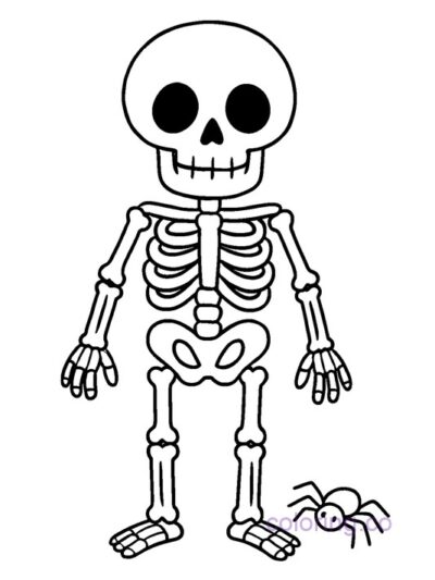 Cute Skeleton and Spider Coloring Page