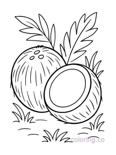 Fun Coconut Coloring Page for Preschoolers
