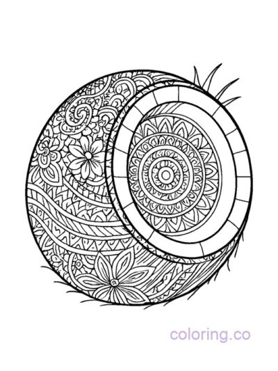 Zentangle Coconut Coloring Page for Teens