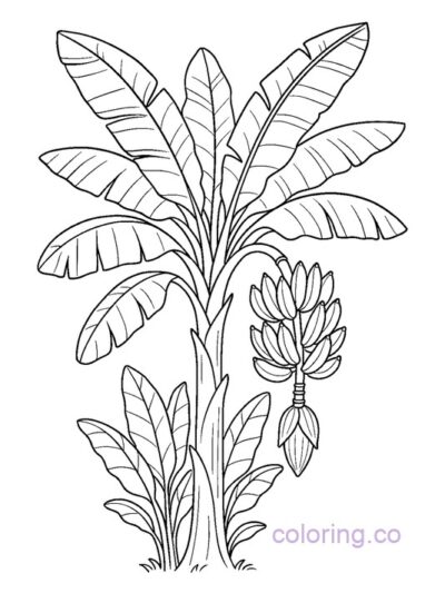 Fun Banana Tree Coloring Page