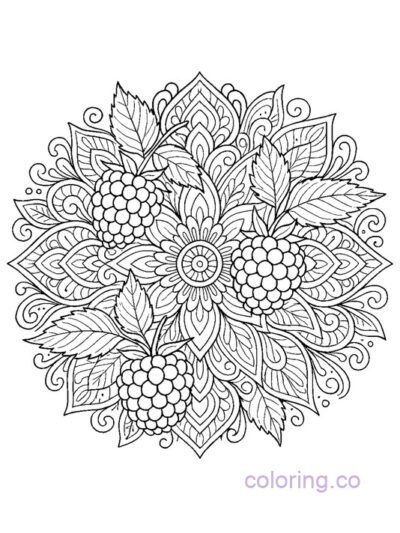 Intricate Blackberry Mandala Coloring Page