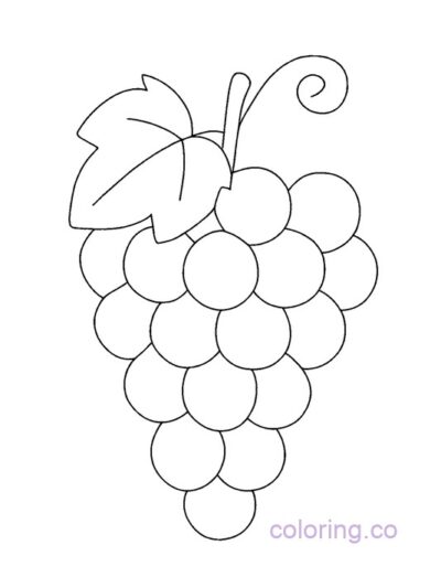 Grape Coloring Page