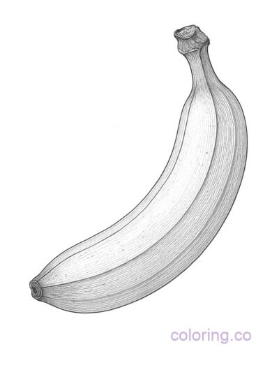 Realistic Banana Coloring Page